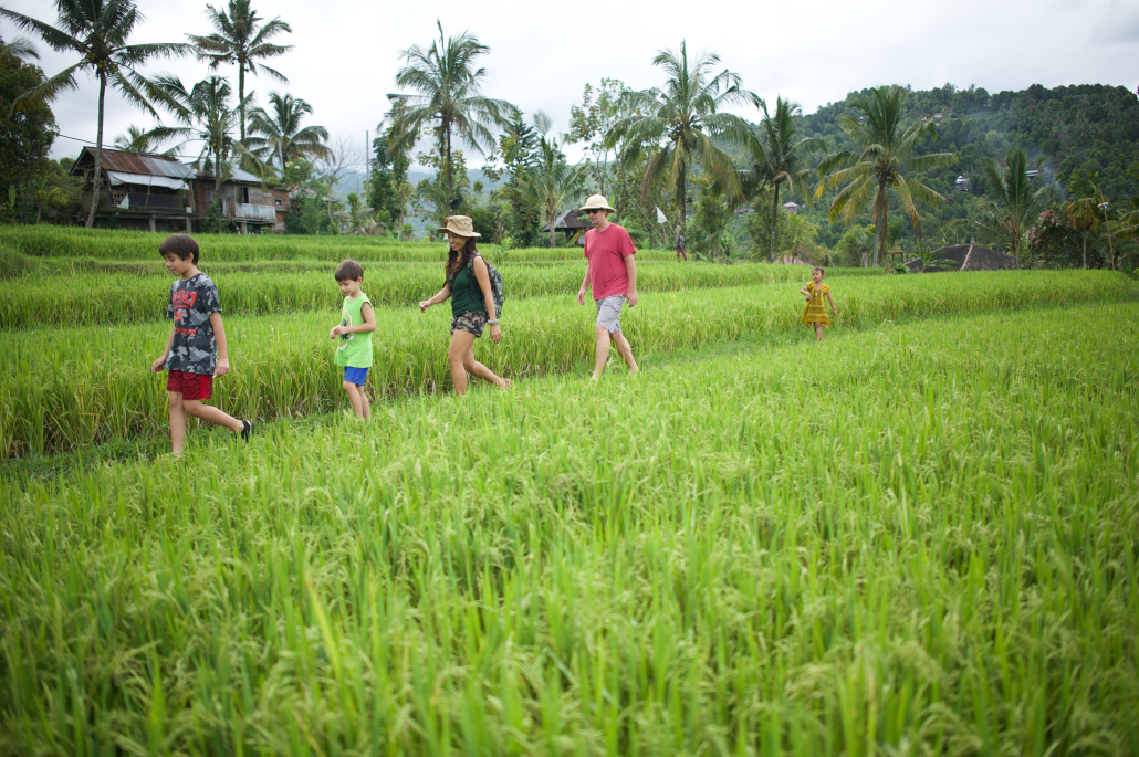 4WD Land Rover Safari in Munduk North Bal